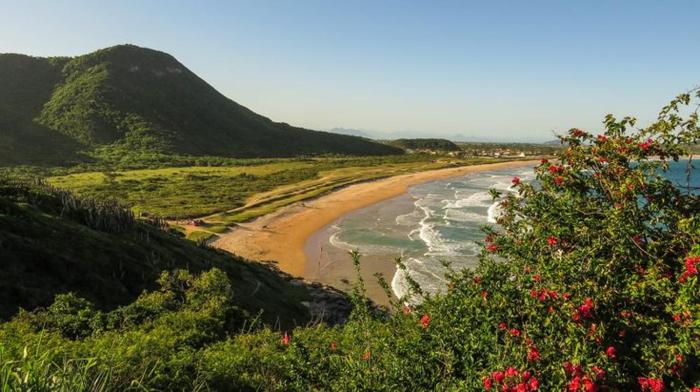 3p Independent Studio