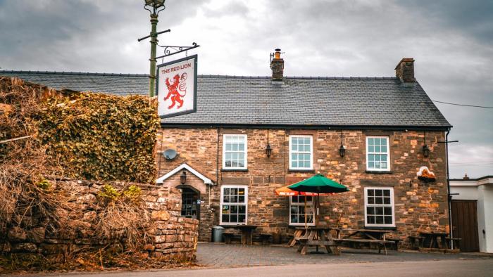 The Red Lion Llangynidr