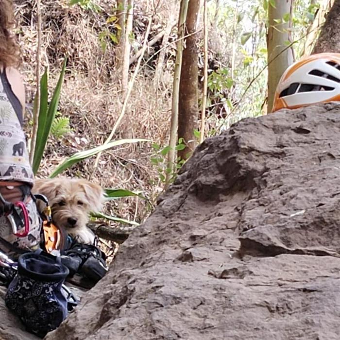 Hostel For Machetà Climbers Colombia
