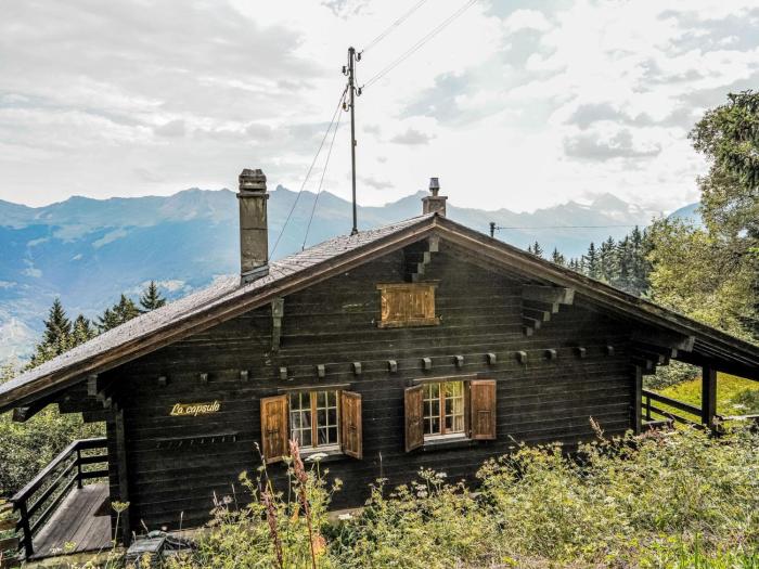 Chalet La Capsule by Interhome