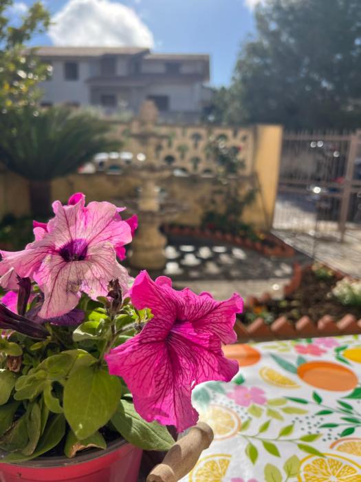 Nonna Ciccina’s House