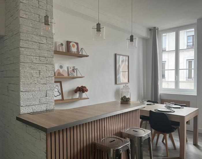 Les Carmes - Logement entier, appartement, Vienne - France