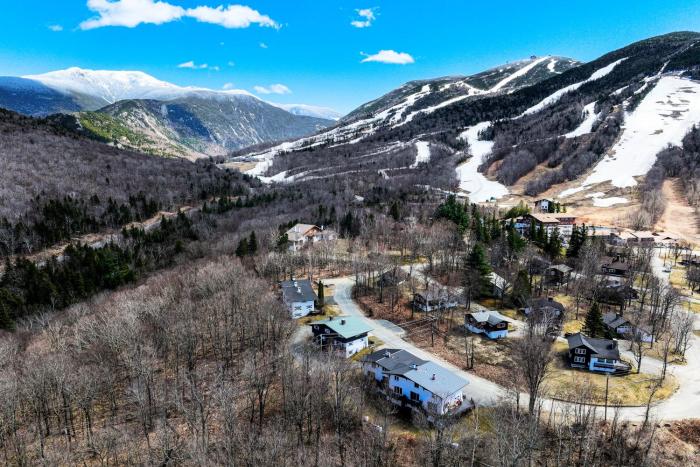 Hiking Galore Mittersill Townhome in Franconia!