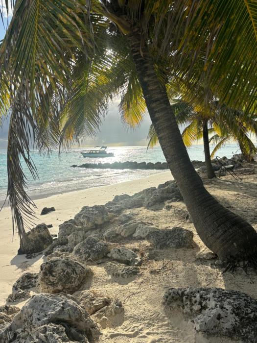 Rose Apartments Barbados