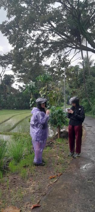 Moto driver tour Borobudur , Rice terace, sacred waterfall