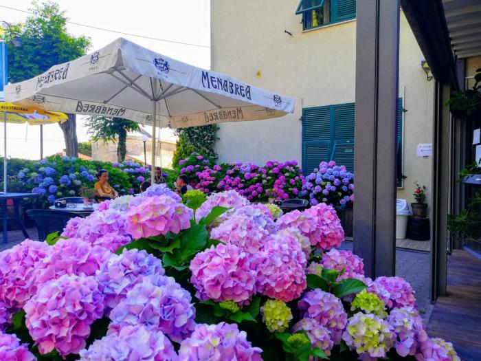 Hotel Silvia Framura - Cinque Terre