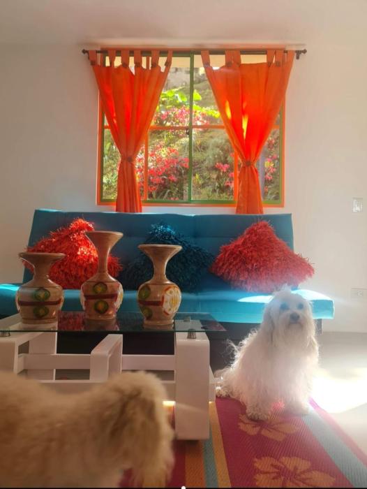 Alojamiento a Solo 4 Minutos del Malecón, con Barril Asador para Disfrutar