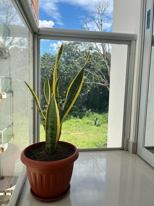 Beautiful Apartment in Tarapoto