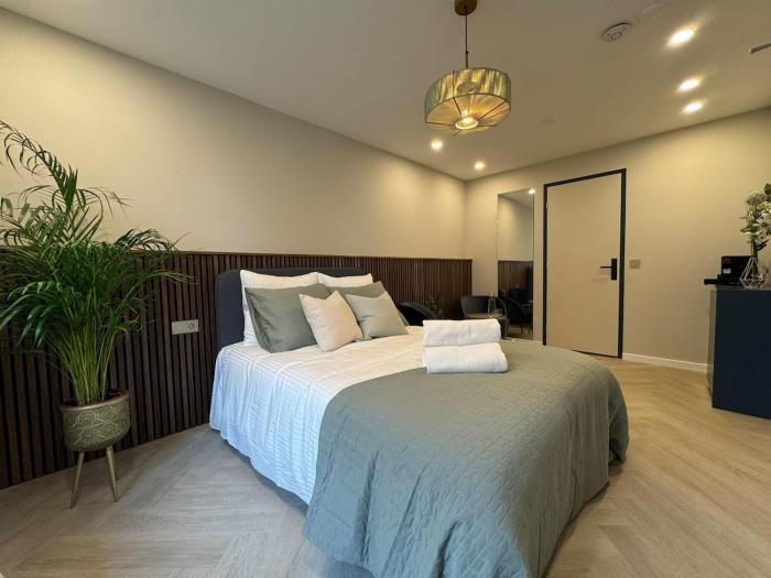 The Stylish Gem of Den Haag Aprt R1