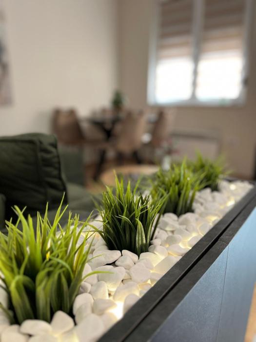 Apartman LuJ Zlatibor