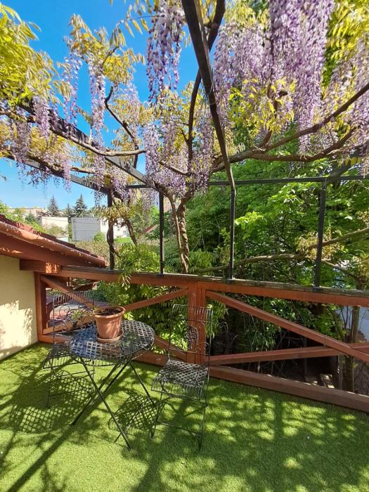 Balassi apartment -with green terrace&bike