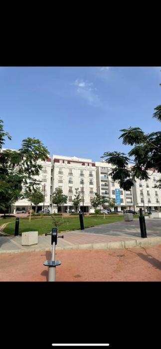 Smart & Cozy Studio C1