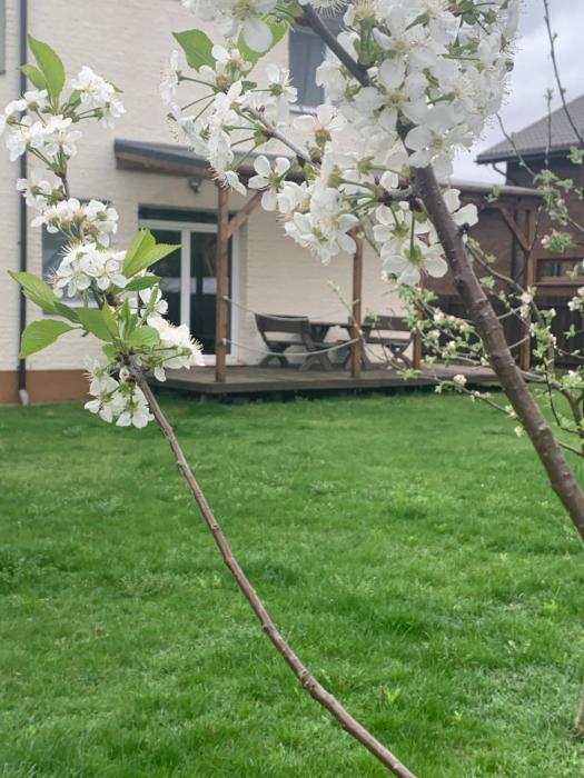 Pilaites svetingi namai