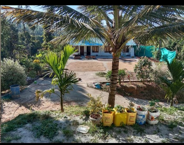 ROCK & CAVE- Blend of nature , adventure & comfort!!