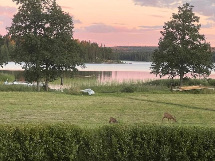 Underbar sjöutsikt nära bad och fiske