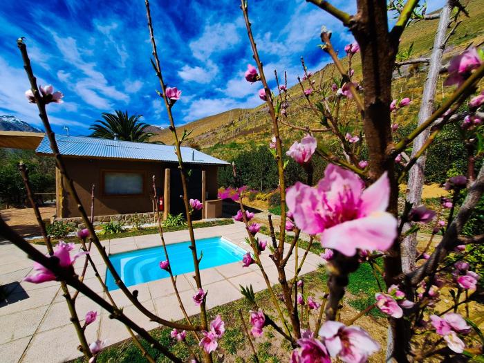 Piuquenes Lodge - Cabañas, Viñedos y estrellas en Horcón, Valle de Elqui