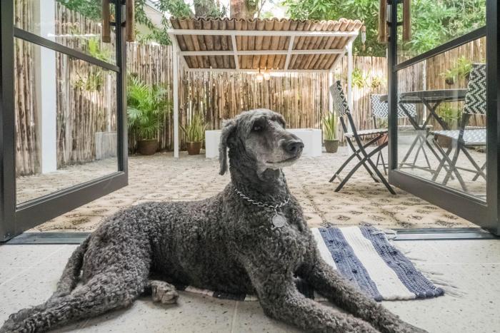 EIWA Nest Self-Service Apartment - AC, Outdoor Tub, Pet Friendly with a Fee