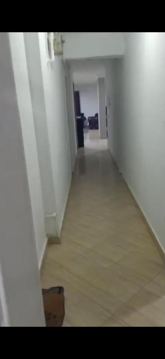 شقة مفروشة فري