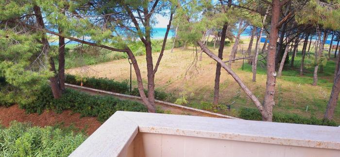 Riva Del Sole fronte mare e pineta