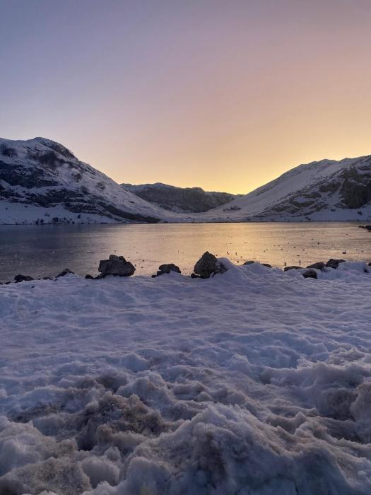 La Glicinia VUT-7355-AS