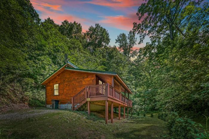 Smoky Mountains Hut Tub Cabin Dog Friendly