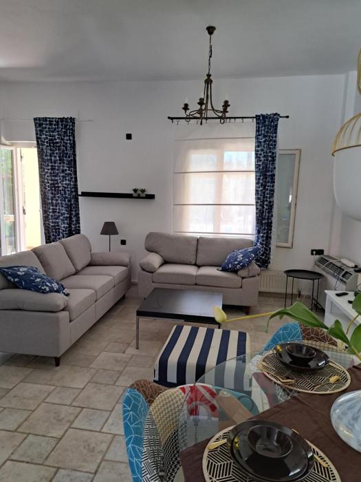 house with garden next to the sea