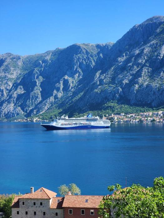 Deluxe Double Room with Garage FiS