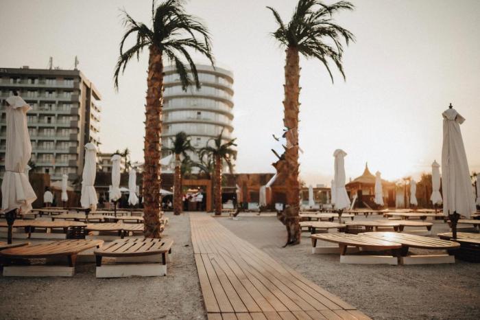 White Palm Mamaia