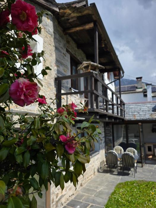 Casa Carina - Enchanted rustico in Mergoscia