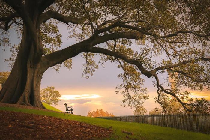 Waterview terrace in rock