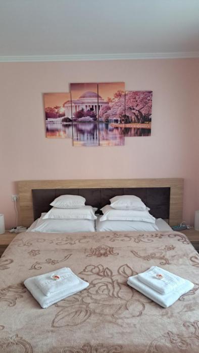 Cool Apartment Radauti