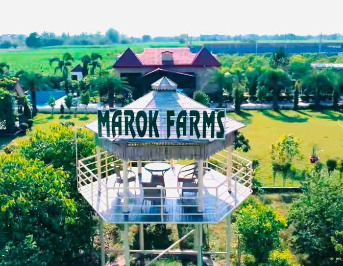 Marok Farm