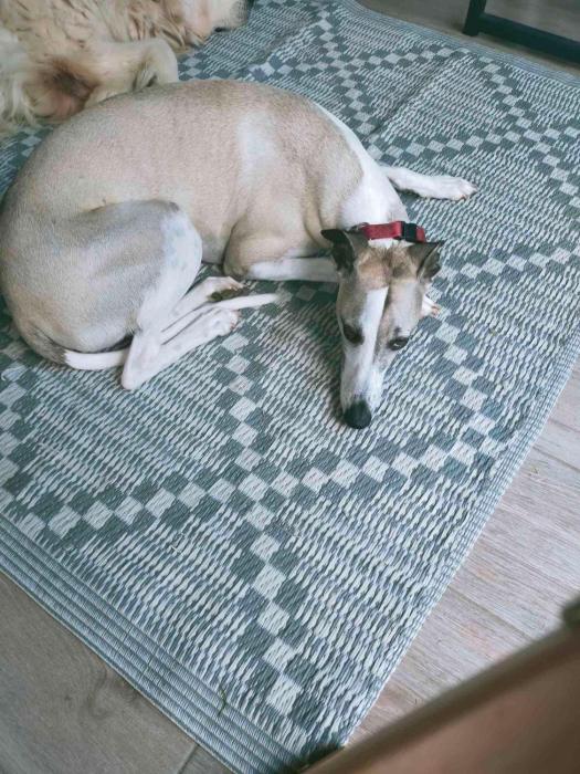 studio au calme sur jardin