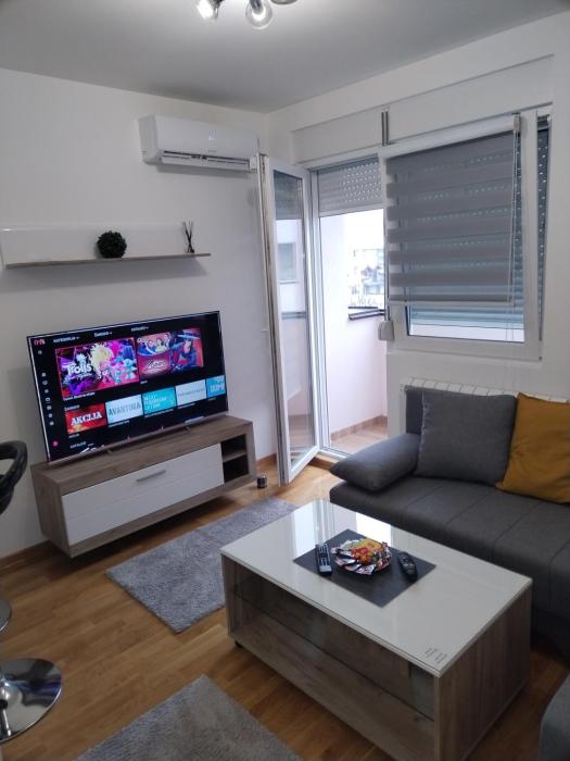 Apartment Ledine
