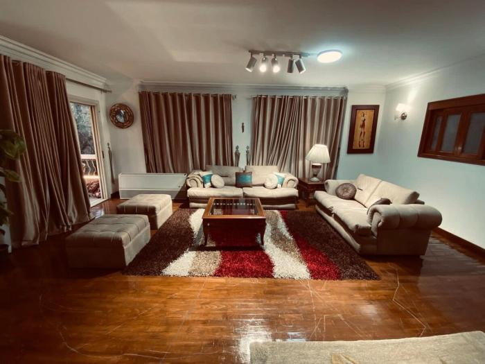 Fully equipped apt In el dokki