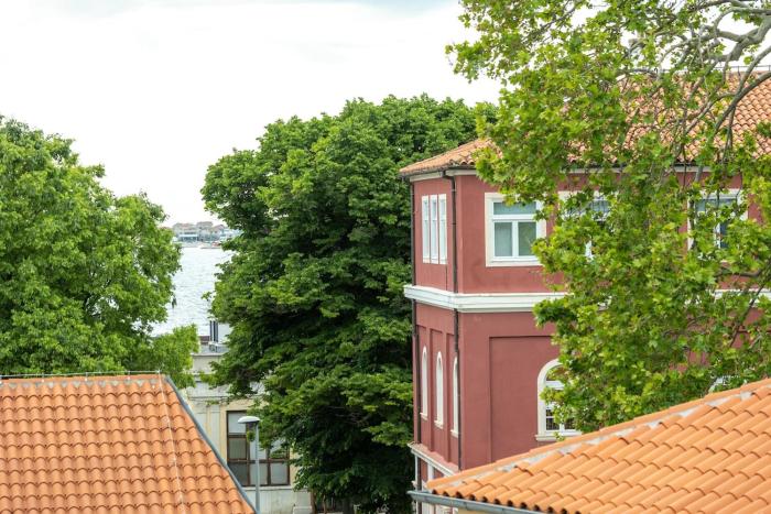 Apartment Dokoza in Old Town