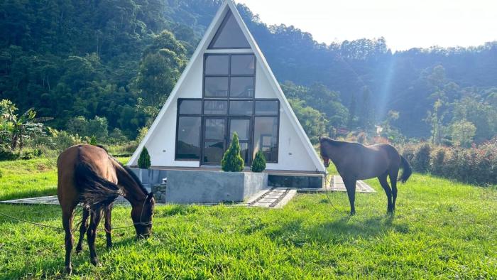 Ilusion Cabaña La Florida