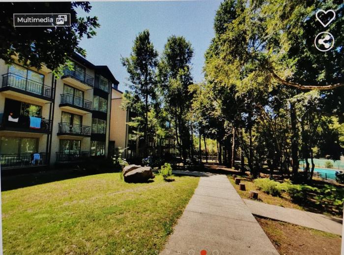 Departamento en Pucón