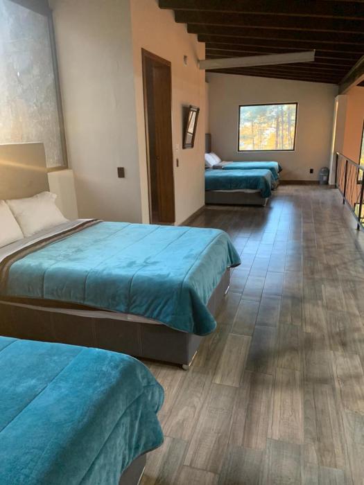 The best stay in the middle of the forest