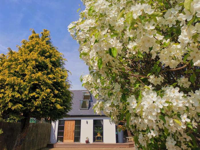 Hastings Casita, little house self contained garden lodge, close to town and seafront