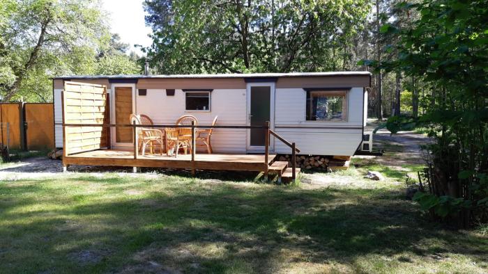 Tinyhaus2 idyllisch am Waldesrand