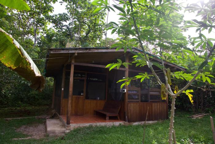 Secret Forest Station