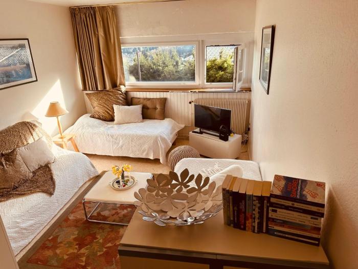 Studio 4pers SUPPER BESSE