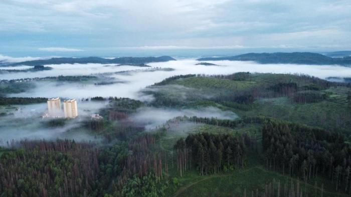 App 362 Panoramic Hohegeiß