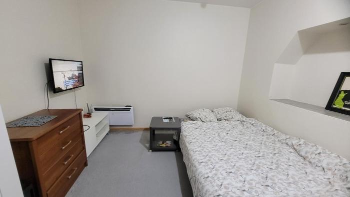 Cozy one-bedroom apartment