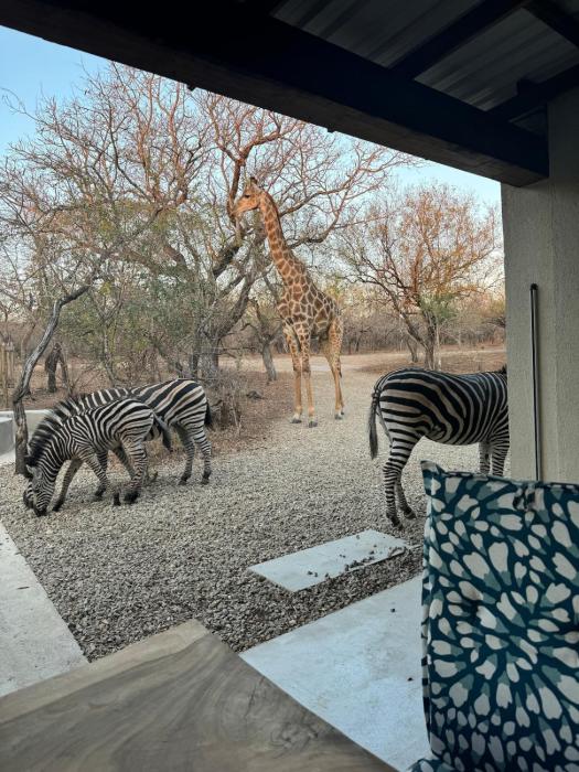 Chui House A Bush Retreat with Pool and AC Near Kruger Gate