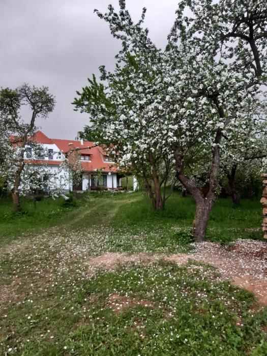 Zöld Diófa Panzió