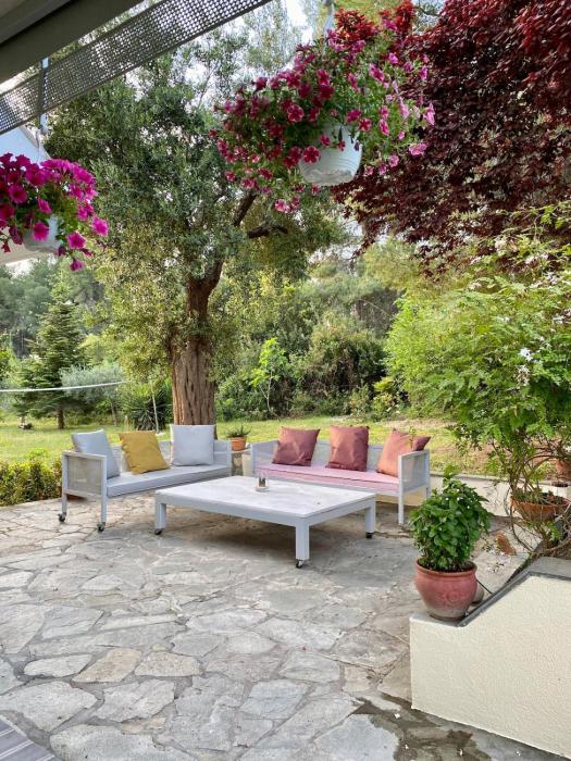 Family house 5 from beach