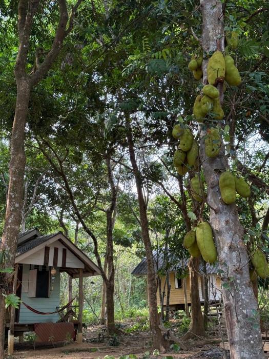 Eternal Forest Beach Bar&Bungalow