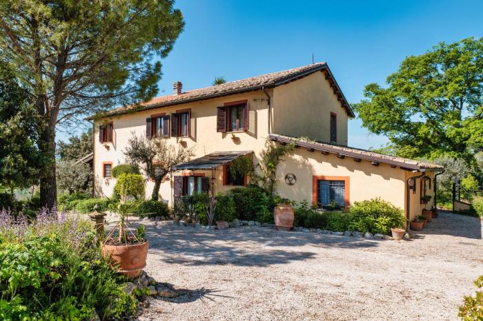 Il Grappolo E La Rosa